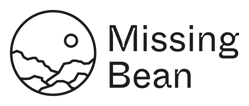 Missing Bean